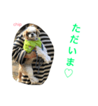 よく使うセリフ。（個別スタンプ：8）