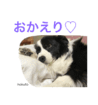 よく使うセリフ。（個別スタンプ：9）