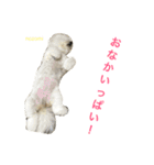 よく使うセリフ。（個別スタンプ：12）