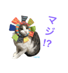 よく使うセリフ。（個別スタンプ：13）