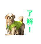 よく使うセリフ。（個別スタンプ：14）