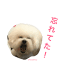 よく使うセリフ。（個別スタンプ：19）