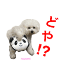 よく使うセリフ。（個別スタンプ：21）