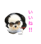 よく使うセリフ。（個別スタンプ：23）