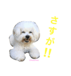 よく使うセリフ。（個別スタンプ：25）