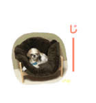 よく使うセリフ。（個別スタンプ：27）