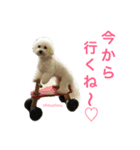 よく使うセリフ。（個別スタンプ：28）