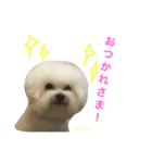 よく使うセリフ。（個別スタンプ：31）