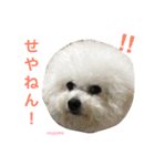 よく使うセリフ。（個別スタンプ：32）