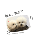 よく使うセリフ。（個別スタンプ：35）