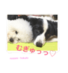 よく使うセリフ。（個別スタンプ：36）