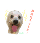 よく使うセリフ。（個別スタンプ：39）