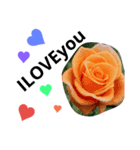 ♡5色の薔薇♡（個別スタンプ：2）