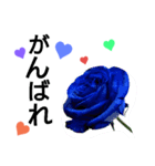 ♡5色の薔薇♡（個別スタンプ：6）