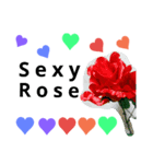 ♡5色の薔薇♡（個別スタンプ：7）