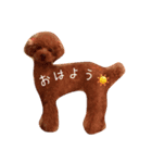 トイプードルのシェリーちゃん（個別スタンプ：2）