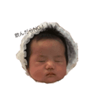 はぎっ子ちびーず（個別スタンプ：8）