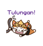 Cute Sundanise Cat from Indonesia（個別スタンプ：20）