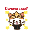 Cute Sundanise Cat from Indonesia（個別スタンプ：26）