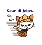 Cute Sundanise Cat from Indonesia（個別スタンプ：29）
