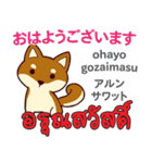 犬の毎日 日本語タイ語（個別スタンプ：1）