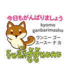 犬の毎日 日本語タイ語（個別スタンプ：6）