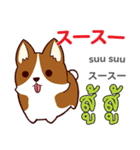 犬の毎日 日本語タイ語（個別スタンプ：9）