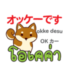 犬の毎日 日本語タイ語（個別スタンプ：11）