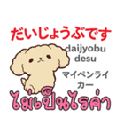 犬の毎日 日本語タイ語（個別スタンプ：12）