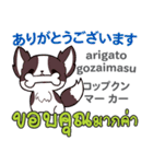 犬の毎日 日本語タイ語（個別スタンプ：13）