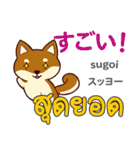 犬の毎日 日本語タイ語（個別スタンプ：16）