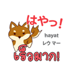 犬の毎日 日本語タイ語（個別スタンプ：31）