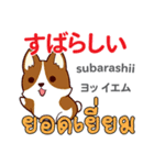 犬の毎日 日本語タイ語（個別スタンプ：34）