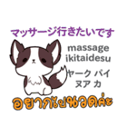 犬の毎日 日本語タイ語（個別スタンプ：38）