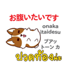 犬の毎日 日本語タイ語（個別スタンプ：39）