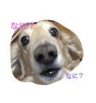 ネオの1日（個別スタンプ：2）