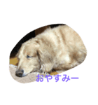 ネオの1日（個別スタンプ：8）