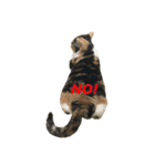 ぶさかわファビ子（個別スタンプ：3）