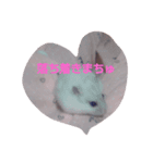 ハムスターLIFE（個別スタンプ：1）