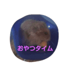 ハムスターLIFE（個別スタンプ：3）