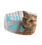 にゃーりー。（個別スタンプ：8）
