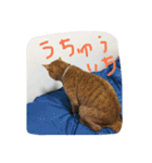 にゃーりー。（個別スタンプ：14）
