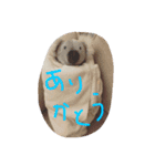 にゃーりー。（個別スタンプ：18）