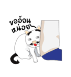 Bo_Numb_Cat（個別スタンプ：35）