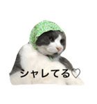ハッチの素敵な日常（個別スタンプ：4）
