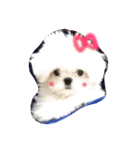 pomスタンプ（個別スタンプ：2）