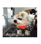 Gusjang（個別スタンプ：3）