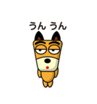 柴犬さっちゃん3（個別スタンプ：35）