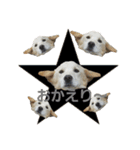 loveche No.1（個別スタンプ：3）