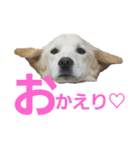 loveche No.1（個別スタンプ：6）